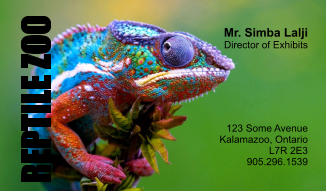 REPTILE ZOO Mr. Simba Lalji Director of Exhibits 123 Some Avenue Kalamazoo, Ontario L7R 2E3 905.296.1539