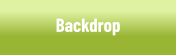 Backdrop - Vinyl and Fabric